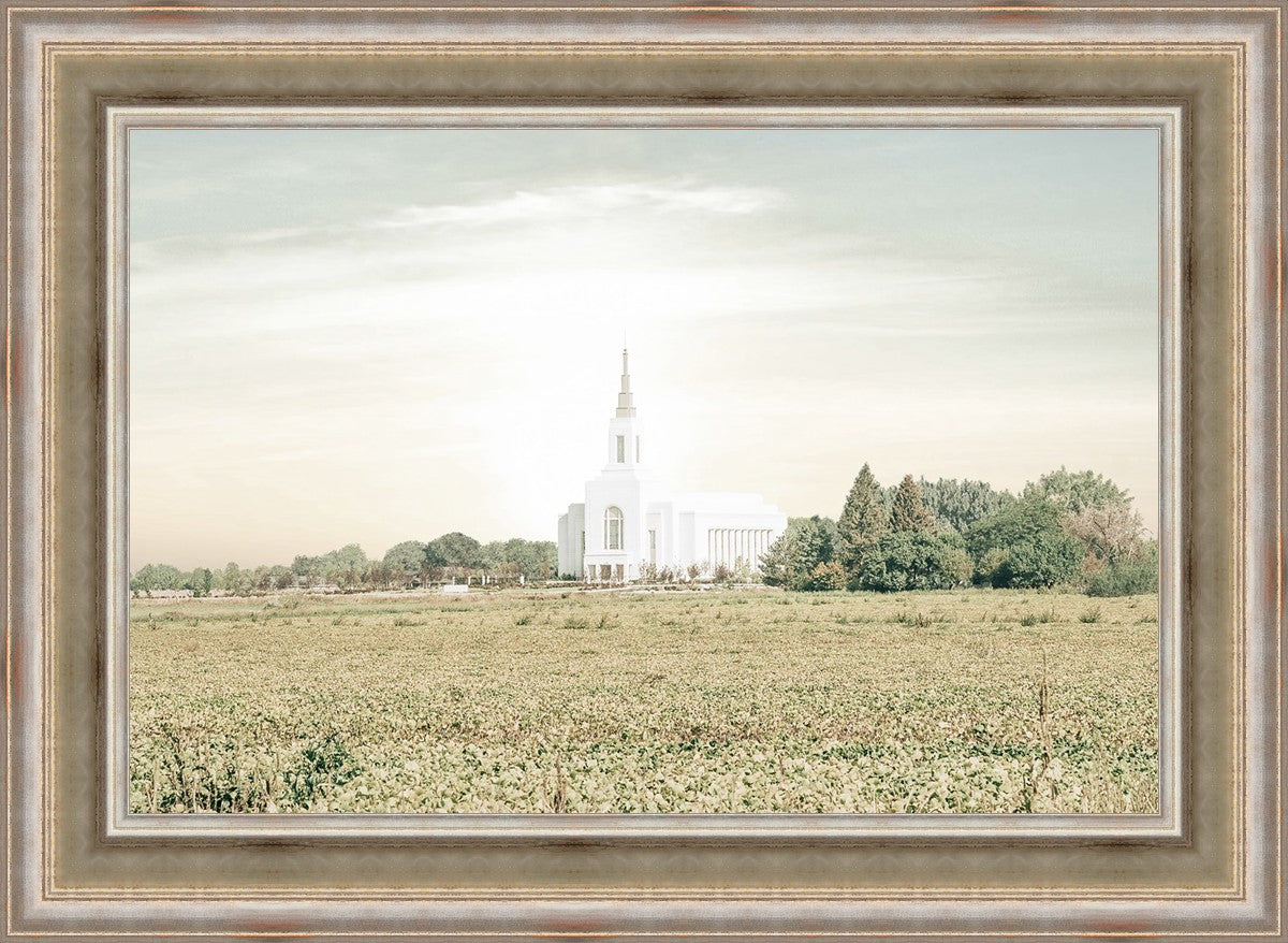 Burley Idaho Immaculate Embrace Pastel