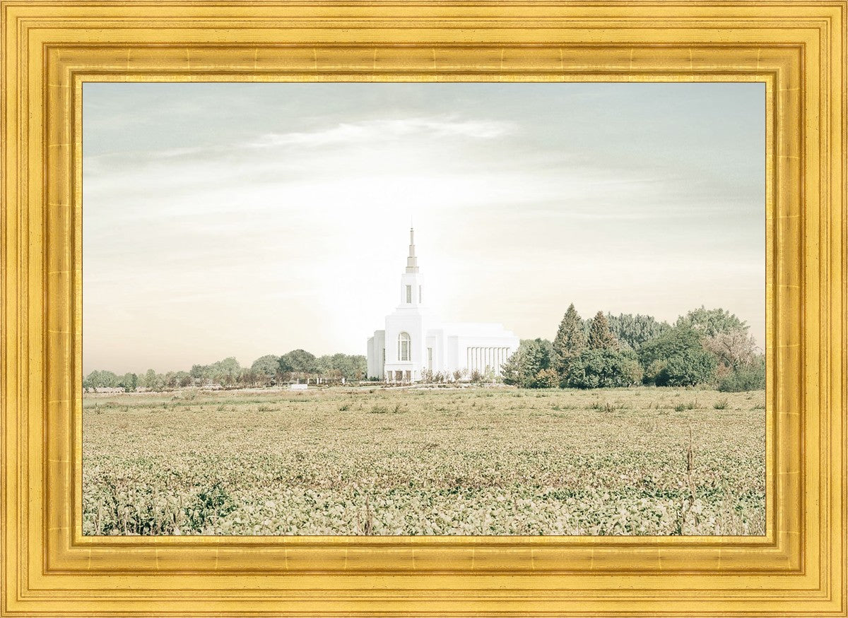 Burley Idaho Immaculate Embrace Pastel