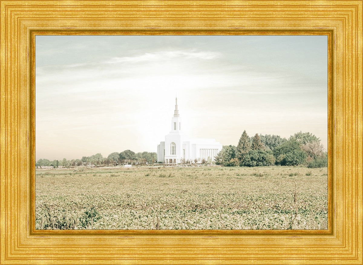 Burley Idaho Immaculate Embrace Pastel