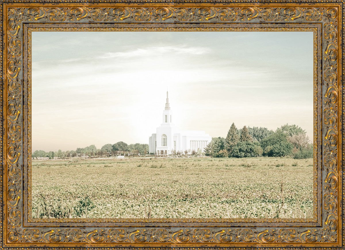 Burley Idaho Immaculate Embrace Pastel