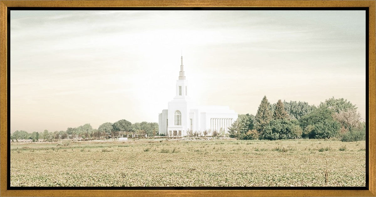 Burley Idaho Immaculate Embrace Pastel