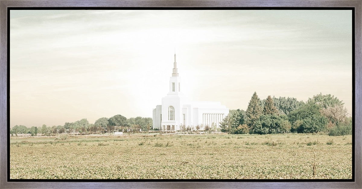 Burley Idaho Immaculate Embrace Pastel