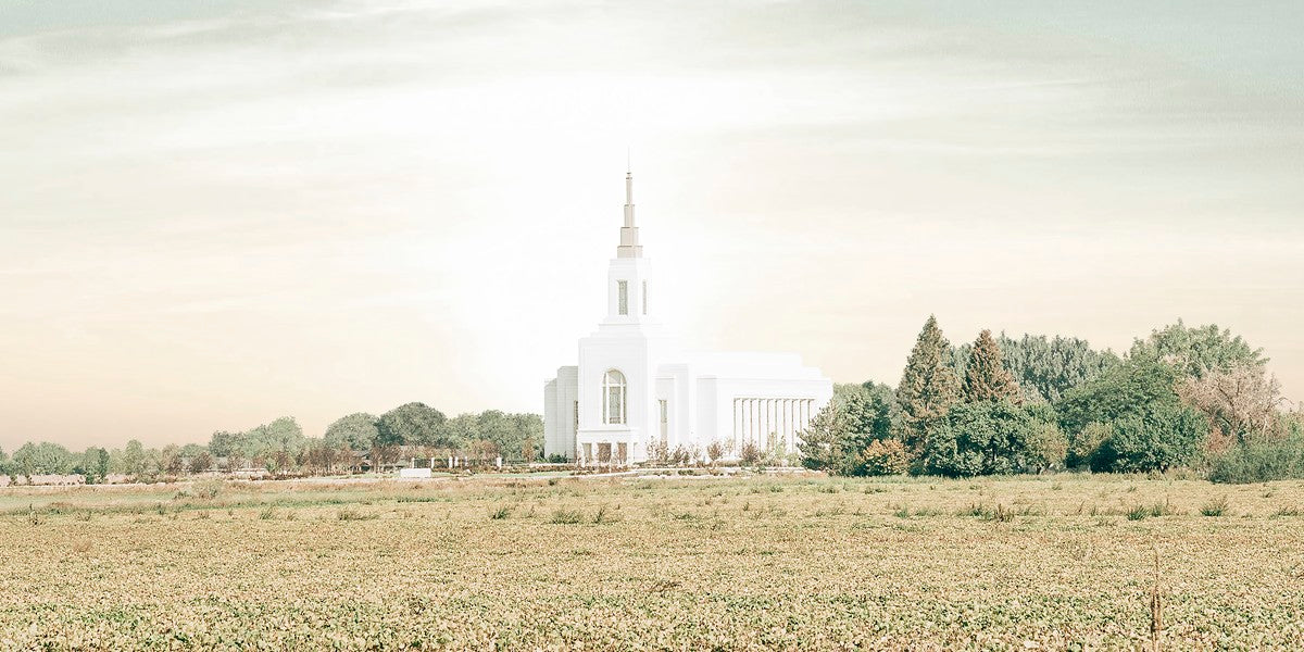 Burley Idaho Immaculate Embrace Pastel