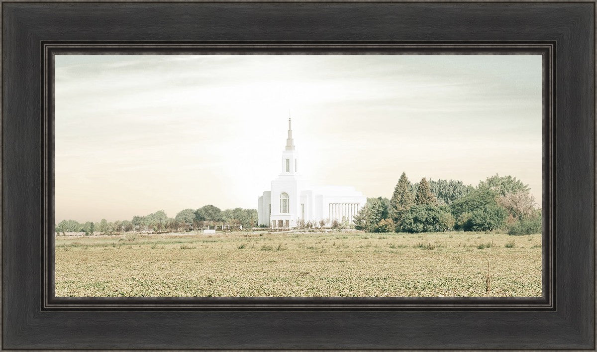 Burley Idaho Immaculate Embrace Pastel