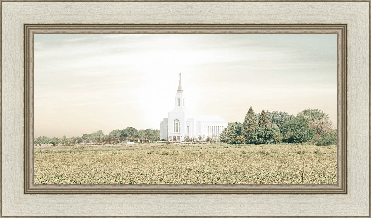 Burley Idaho Immaculate Embrace Pastel