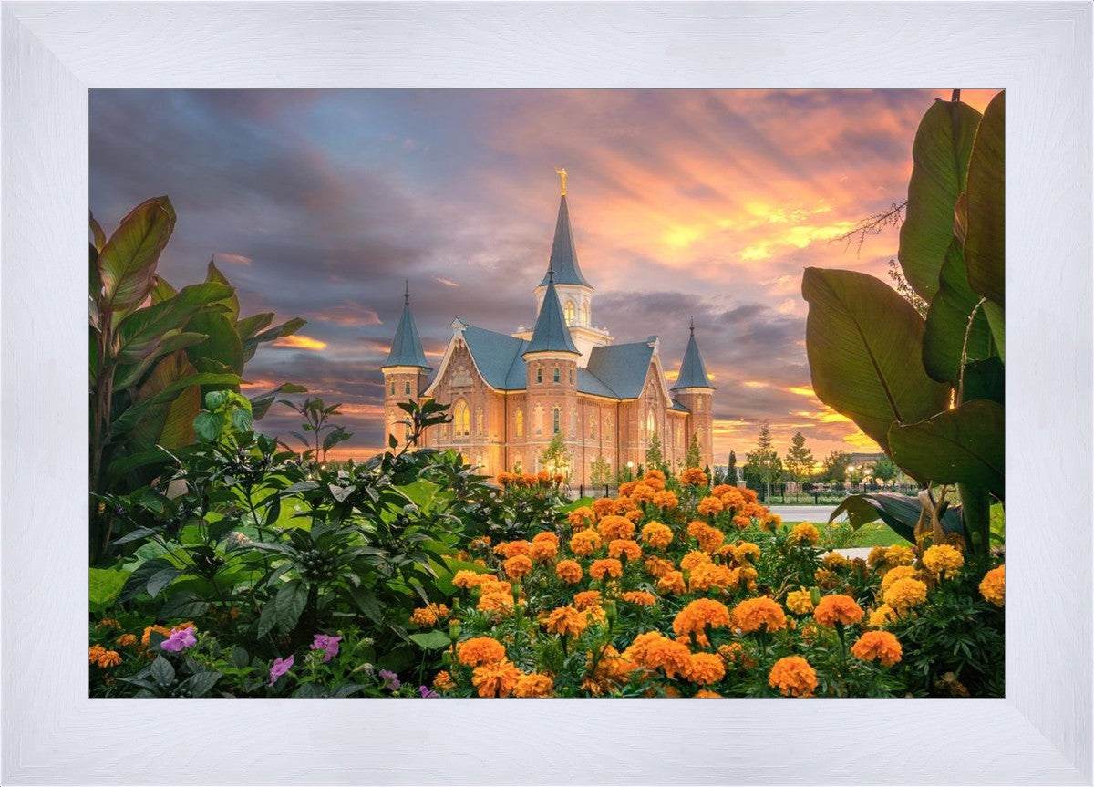 Provo City Center Temple Orange Flowers