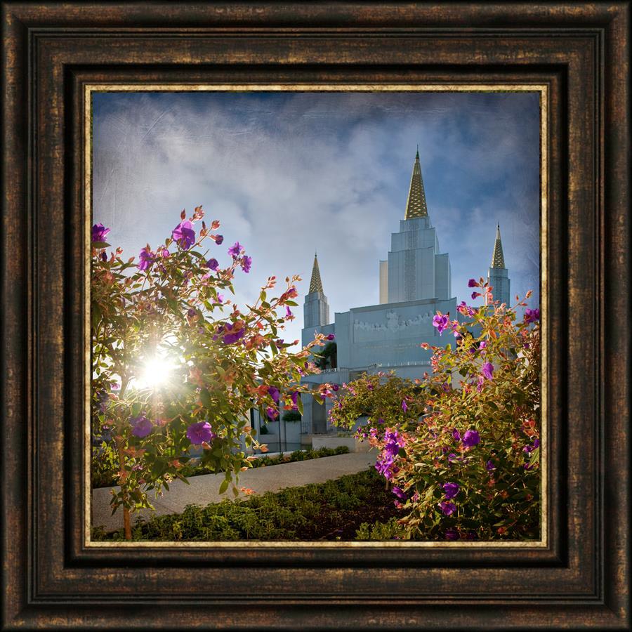 Oakland Brightness and Glory