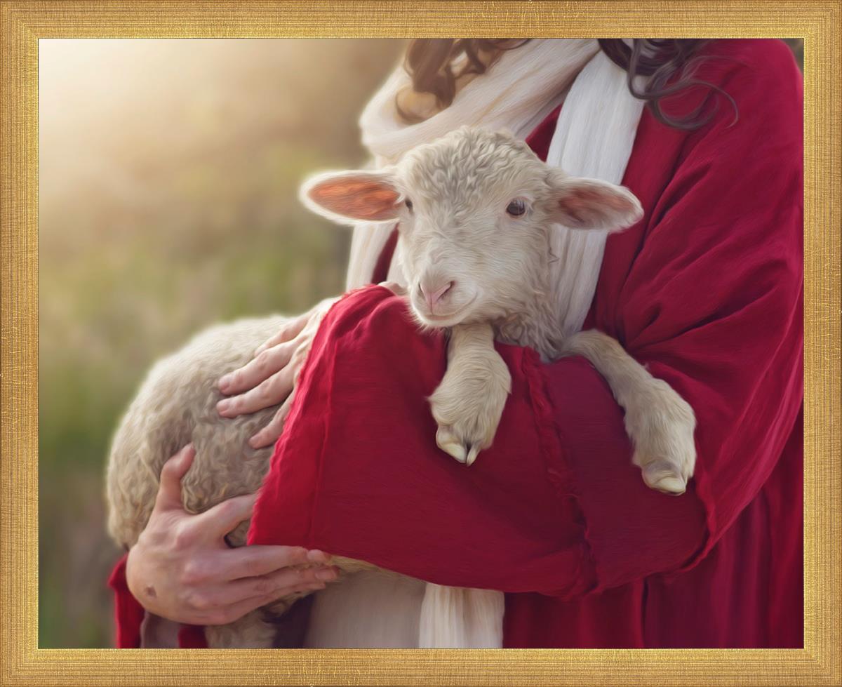 The Good Shepherd