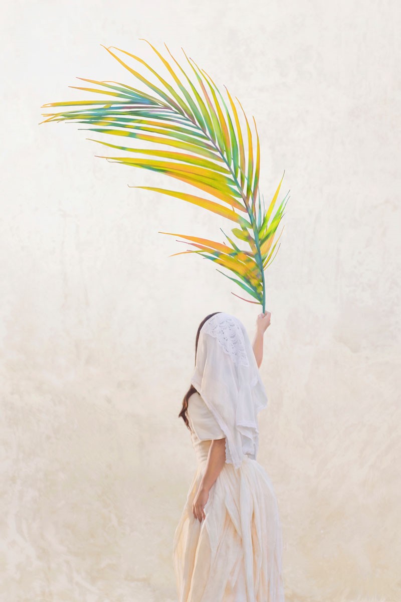 Palm Sunday Gallery Wrap