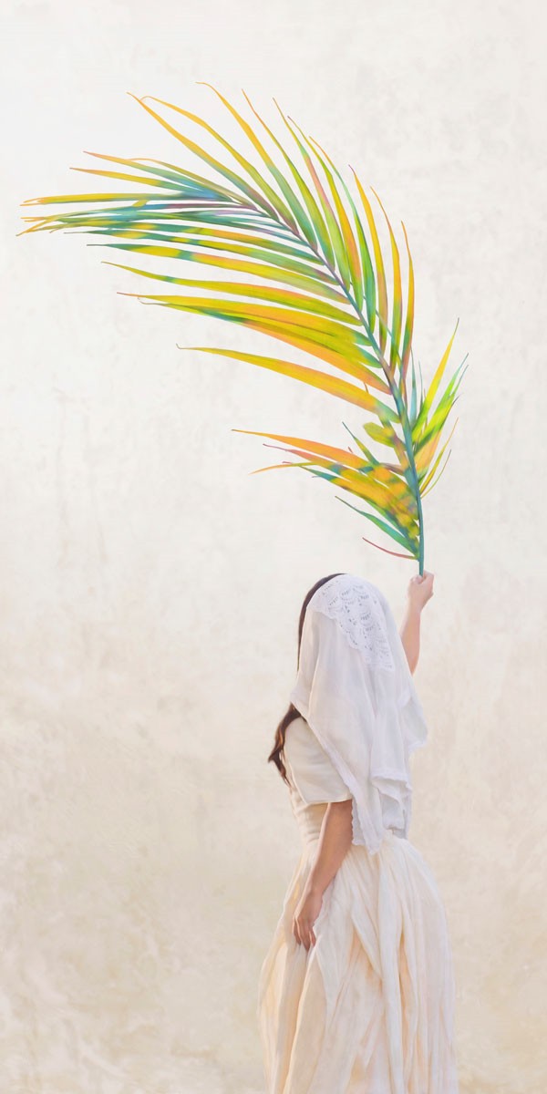 Palm Sunday Gallery Wrap