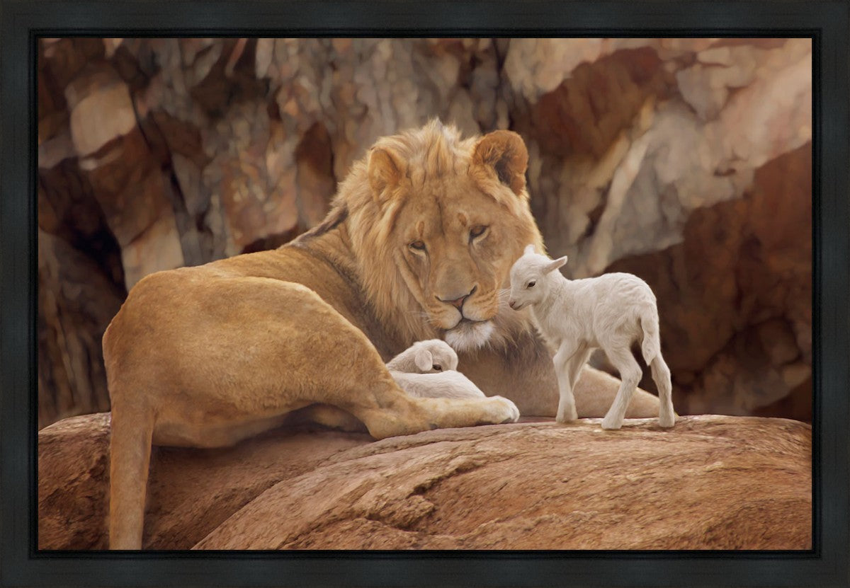 The Lion and The Lamb Gallery Wrap