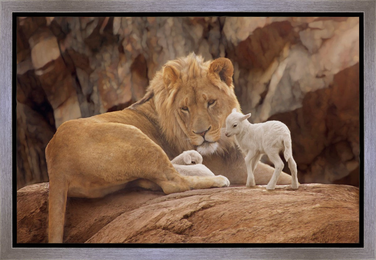The Lion and The Lamb Gallery Wrap