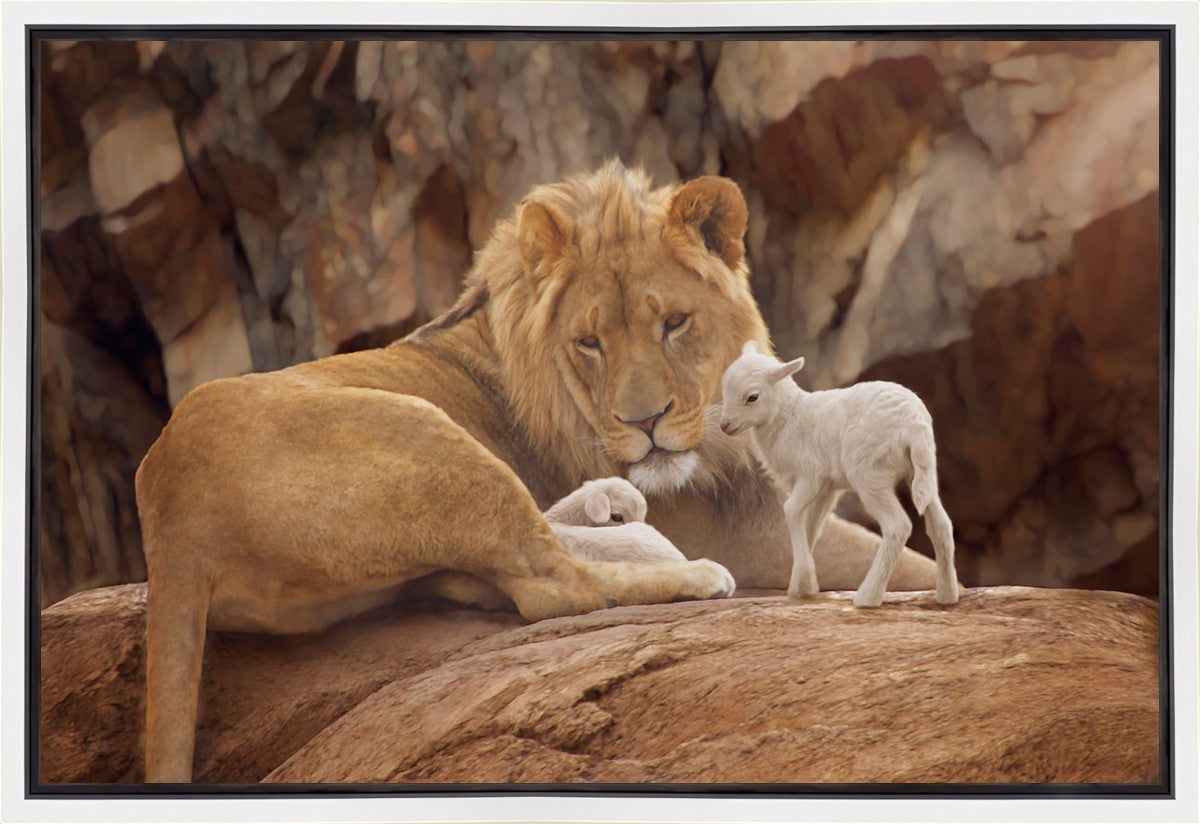 The Lion and The Lamb Gallery Wrap