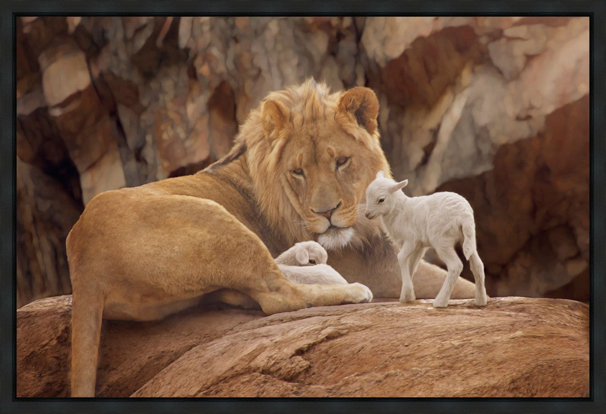 The Lion and The Lamb Gallery Wrap