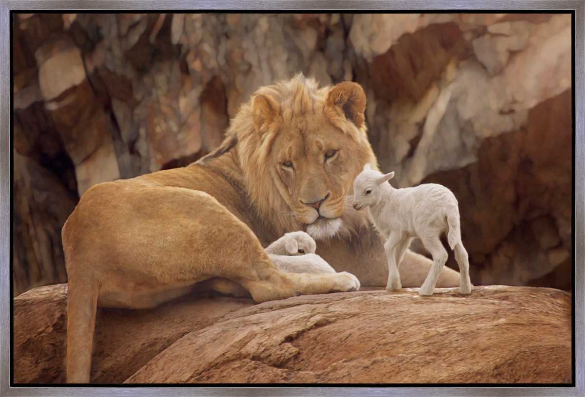 The Lion and The Lamb Gallery Wrap