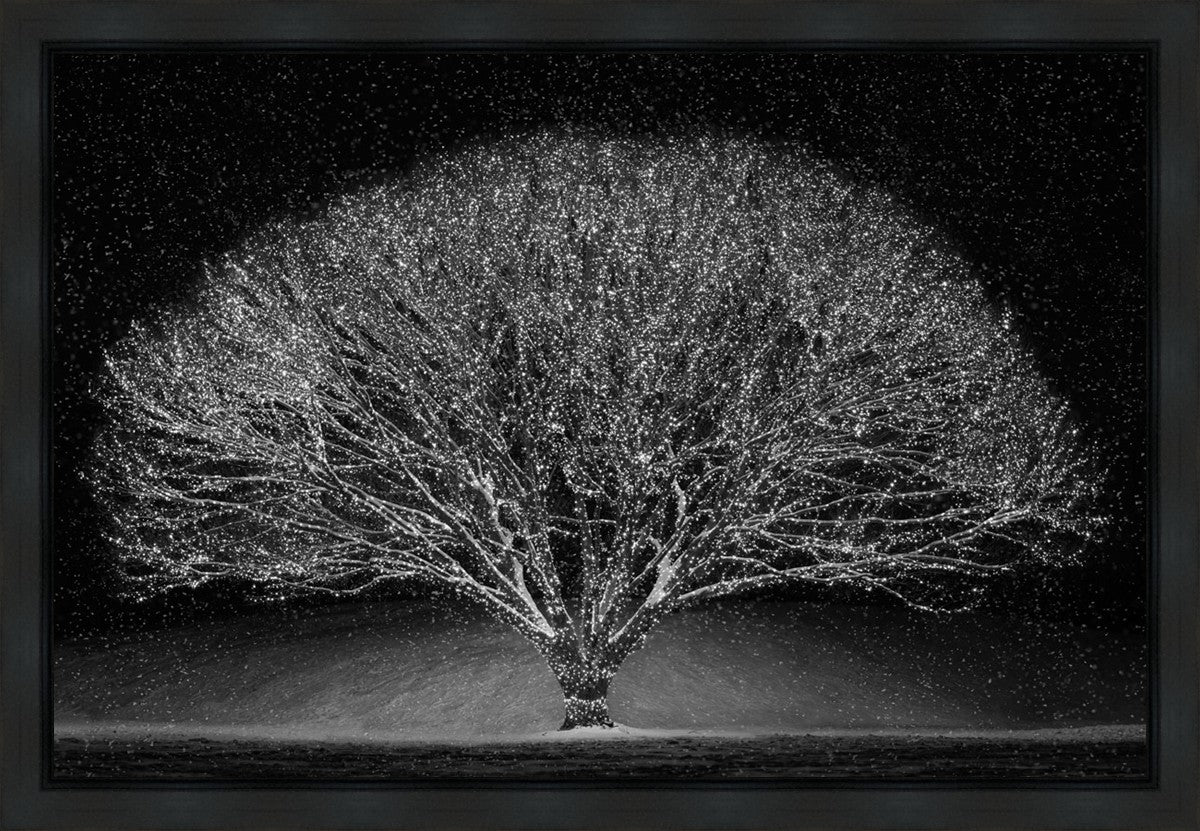 Winter Wonderland Gallery Wrap
