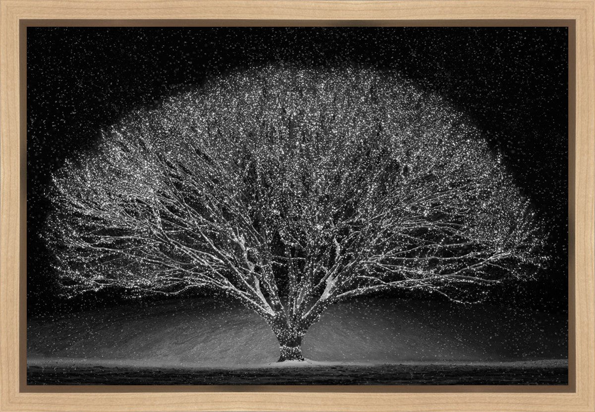 Winter Wonderland Gallery Wrap