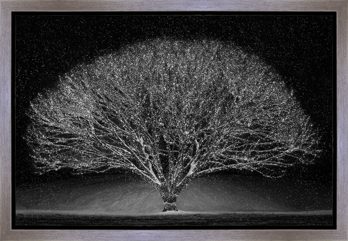 Winter Wonderland Gallery Wrap