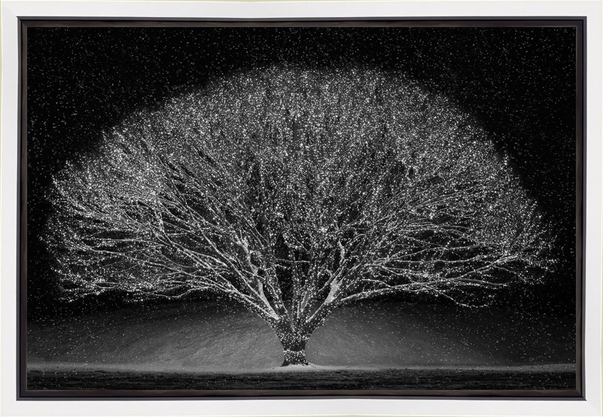 Winter Wonderland Gallery Wrap