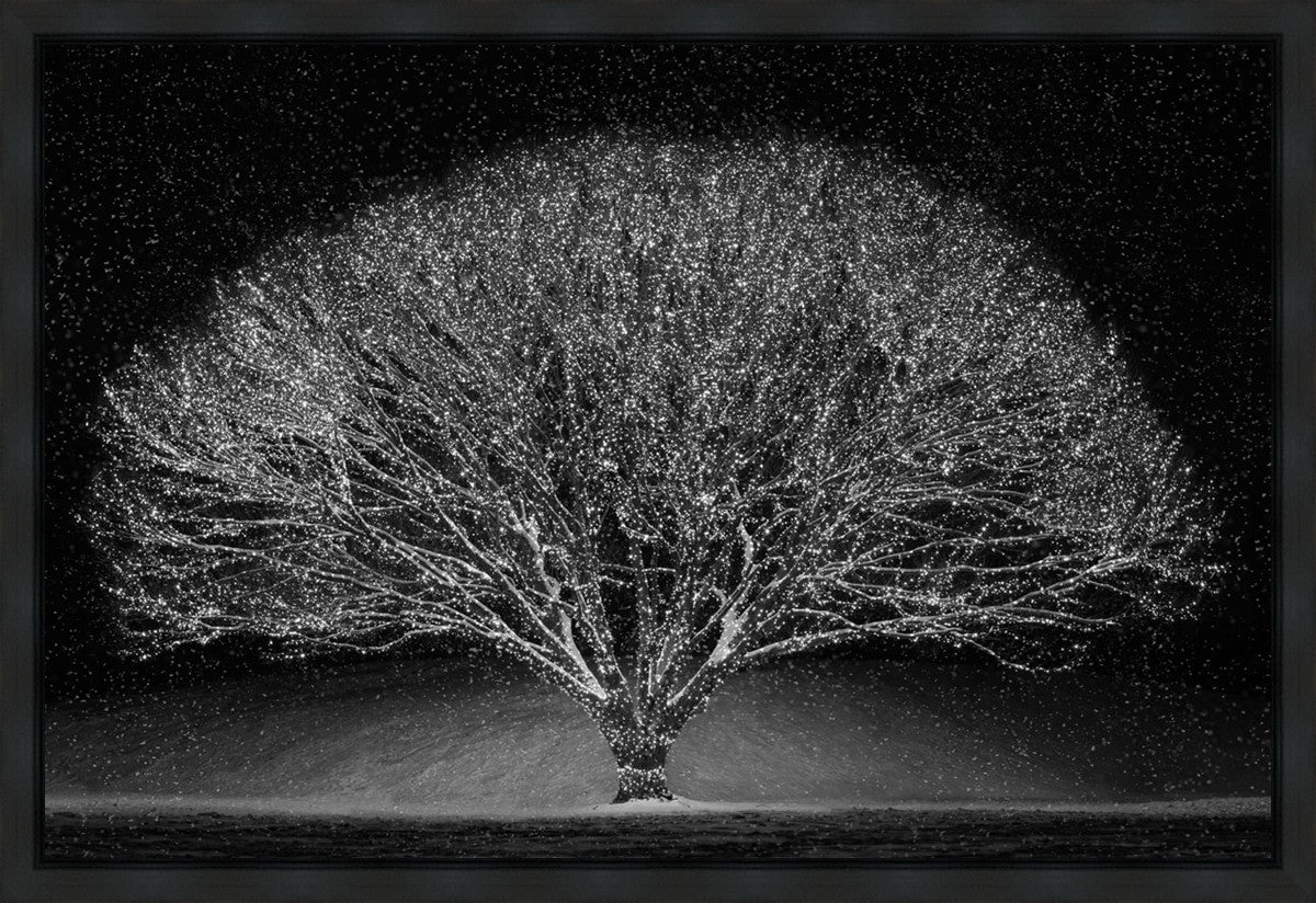 Winter Wonderland Gallery Wrap
