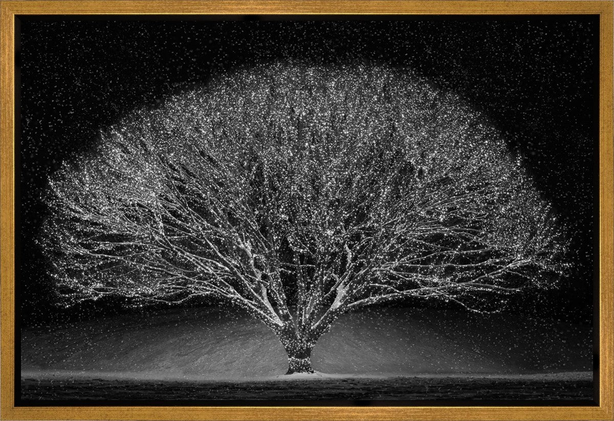 Winter Wonderland Gallery Wrap