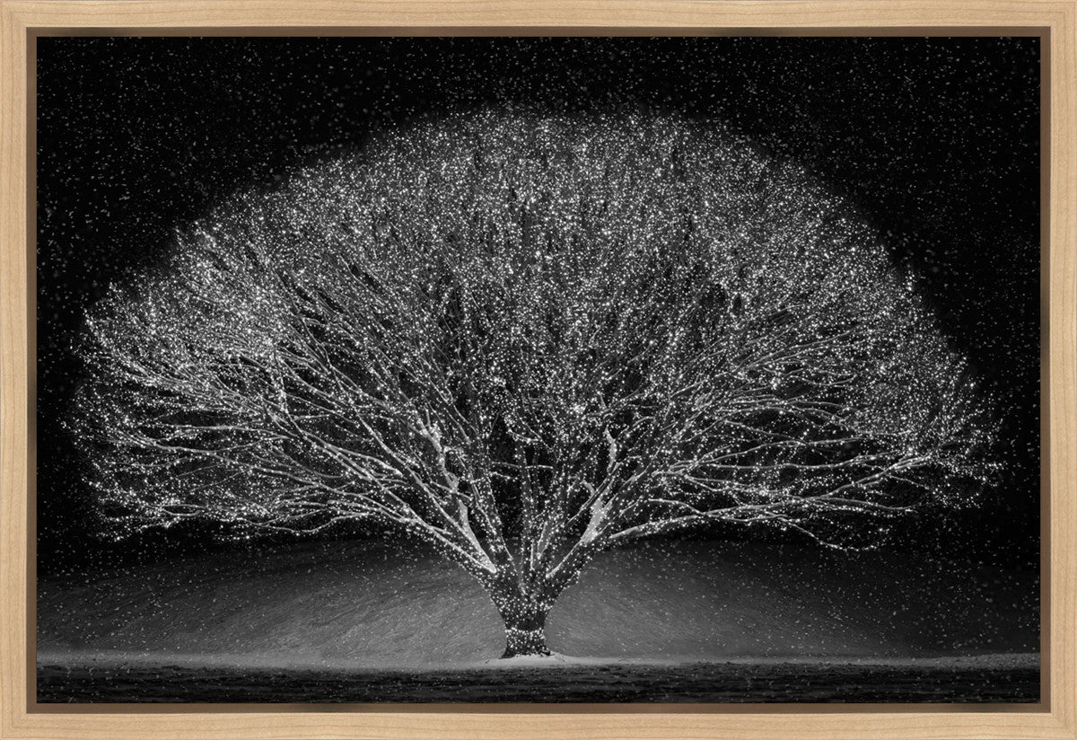 Winter Wonderland Gallery Wrap