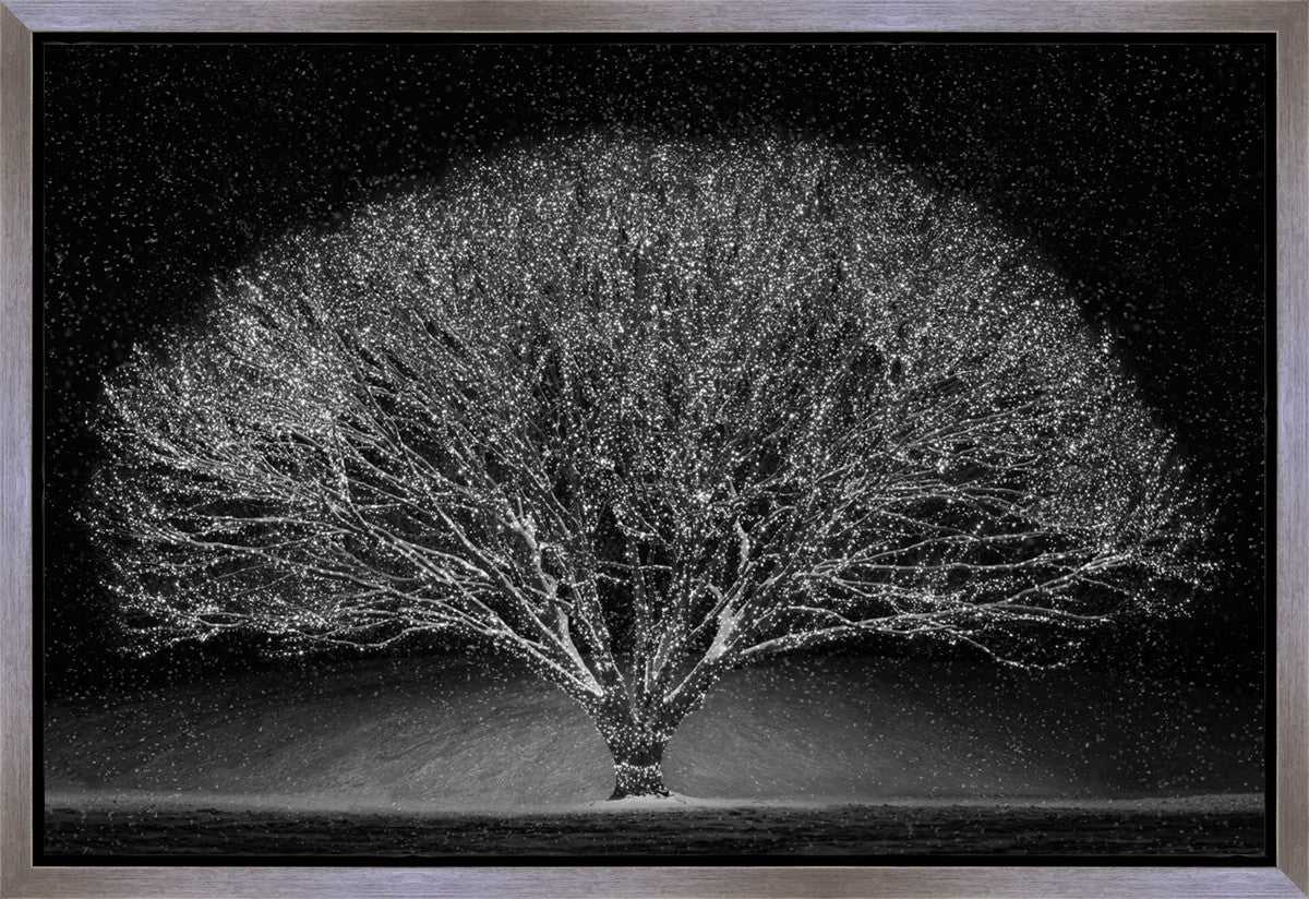 Winter Wonderland Gallery Wrap