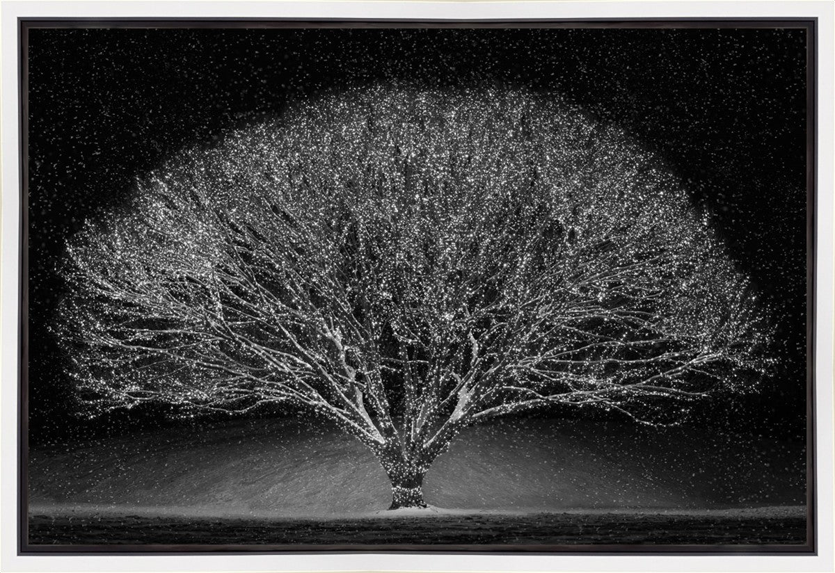 Winter Wonderland Gallery Wrap