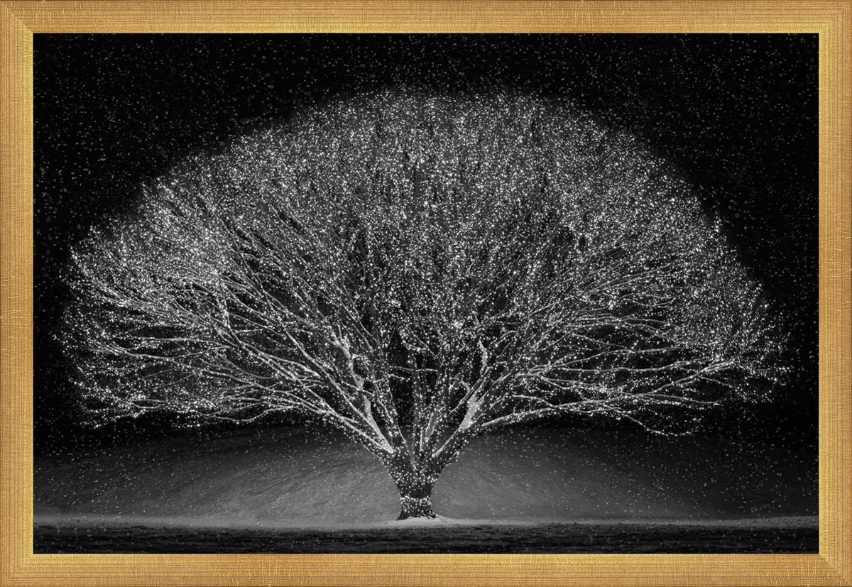 Winter Wonderland