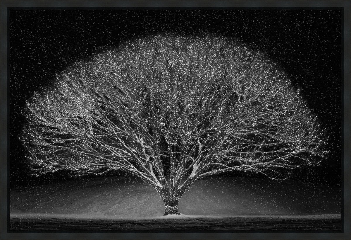 Winter Wonderland Gallery Wrap