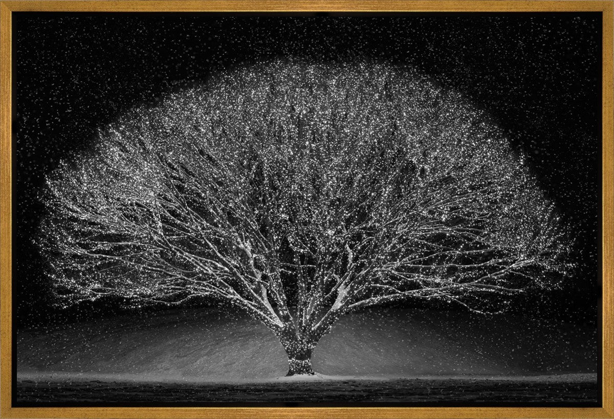 Winter Wonderland Gallery Wrap
