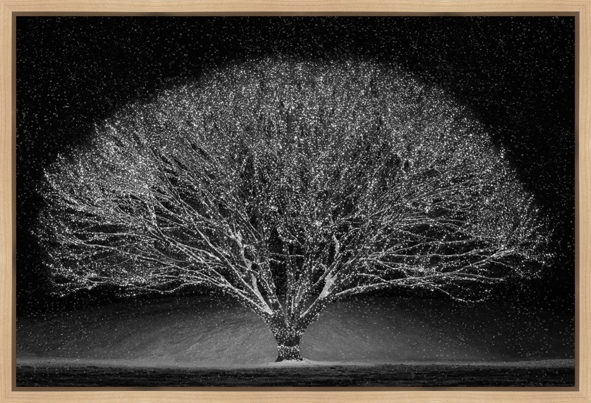 Winter Wonderland Gallery Wrap
