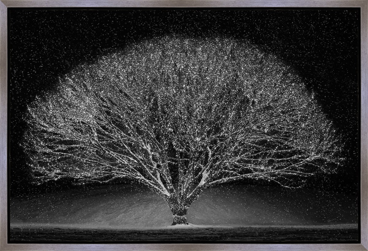 Winter Wonderland Gallery Wrap