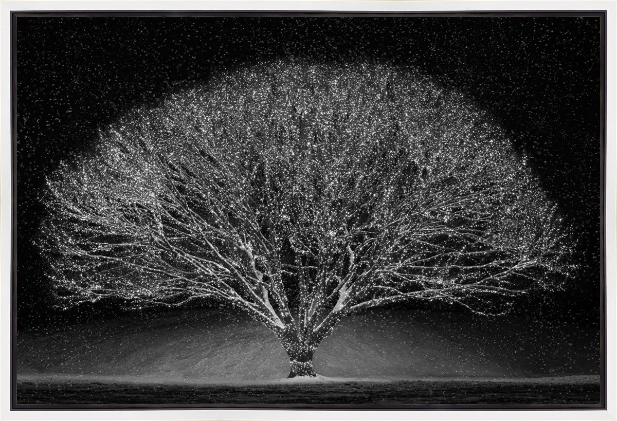 Winter Wonderland Gallery Wrap