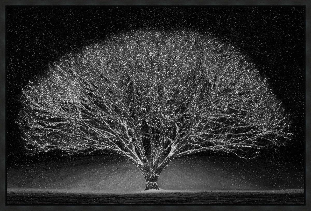 Winter Wonderland Gallery Wrap