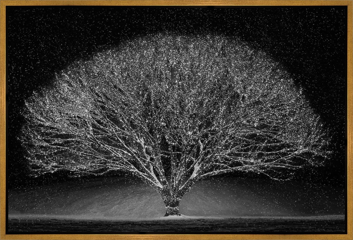 Winter Wonderland Gallery Wrap