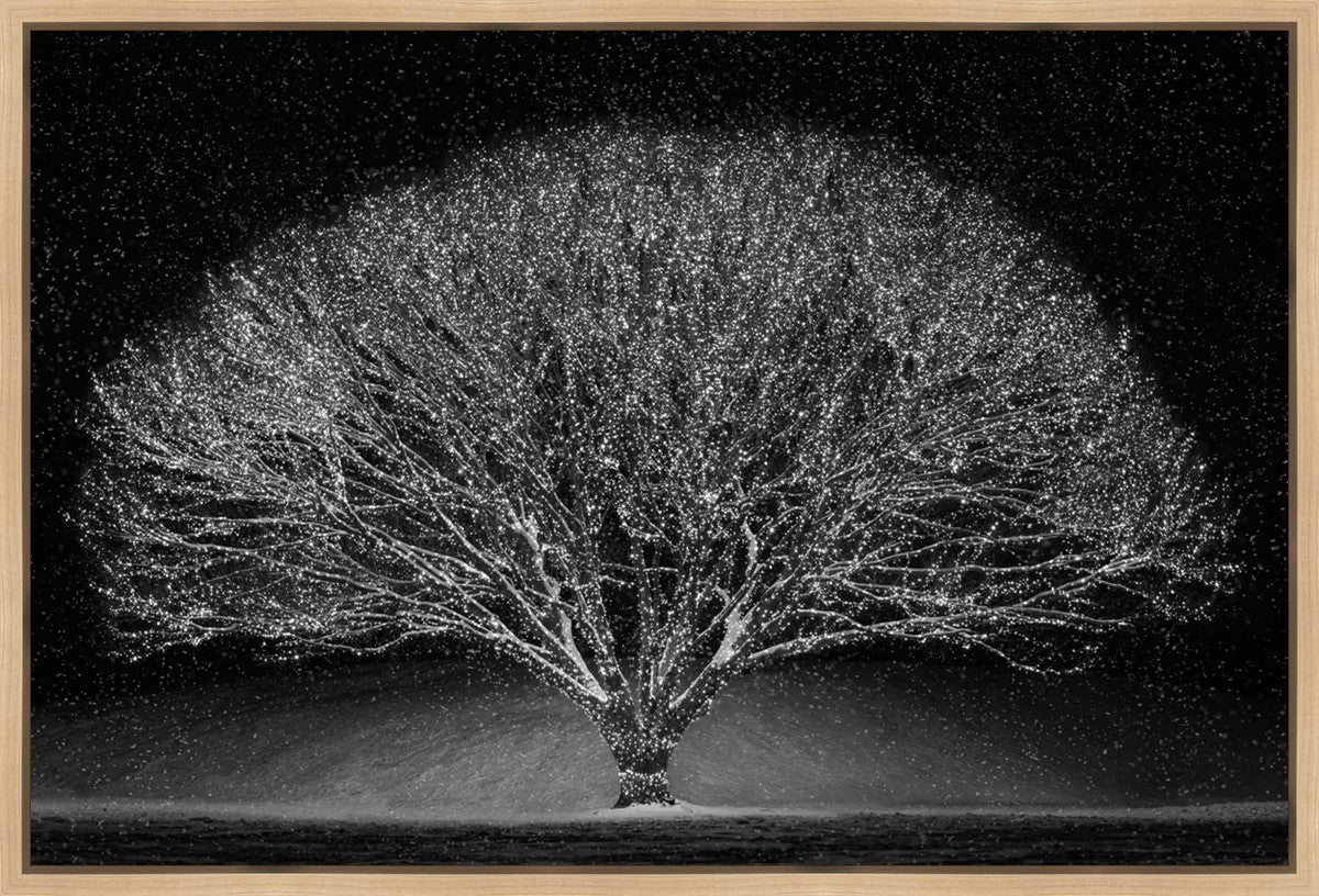 Winter Wonderland Gallery Wrap