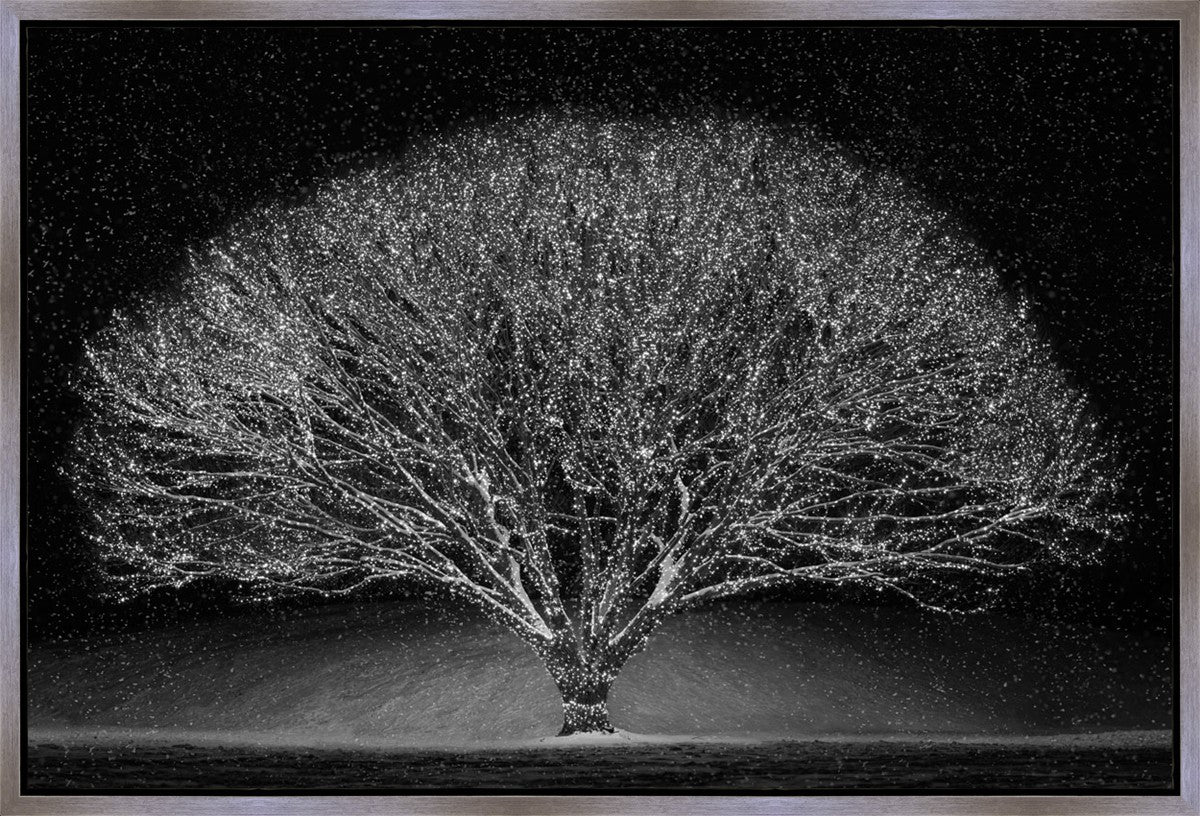 Winter Wonderland Gallery Wrap