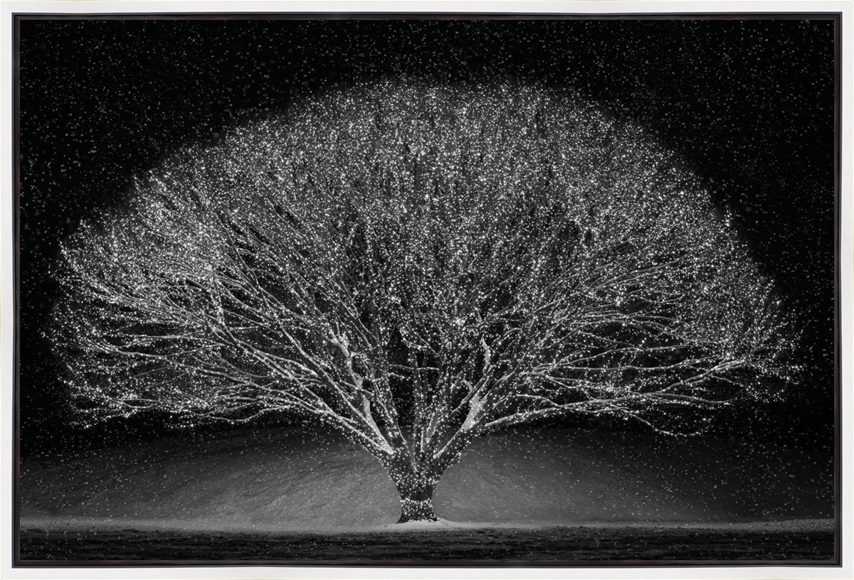 Winter Wonderland Gallery Wrap