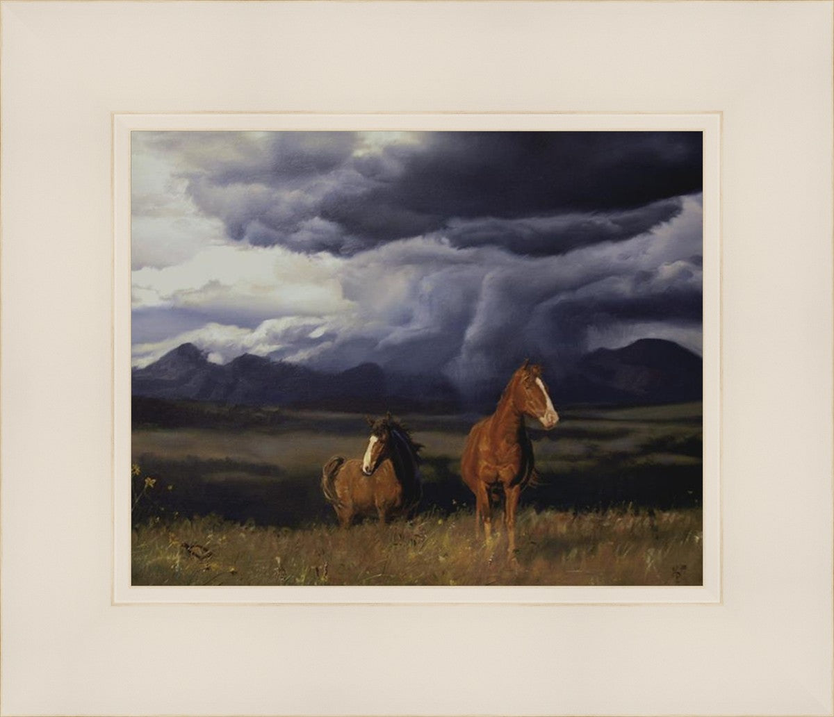 Blue Mountain Storme