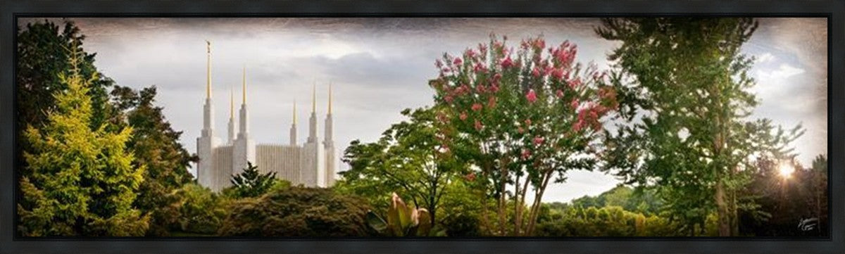 Washington DC, the Day Dawn is Breaking Gallery Wrap