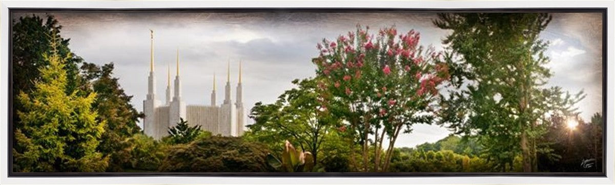 Washington DC, the Day Dawn is Breaking Gallery Wrap