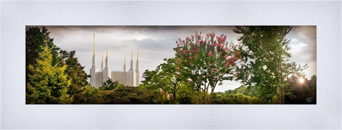 Washington DC, The Day Dawn Is Breaking