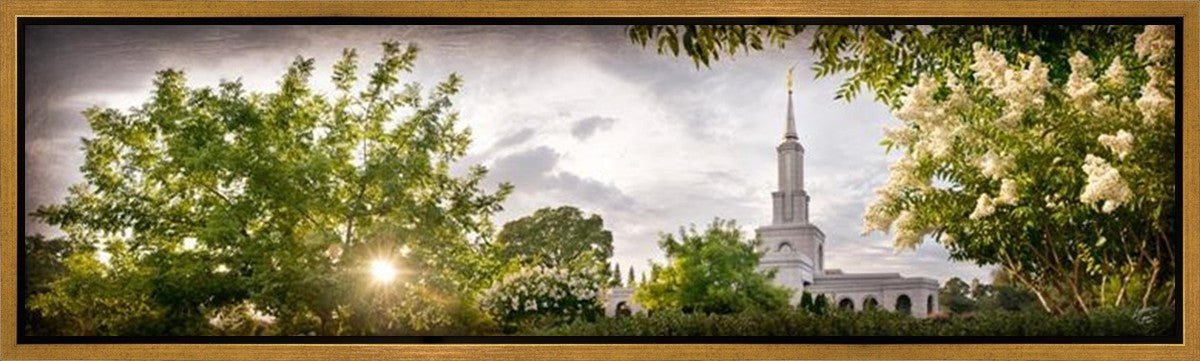 Sacramento, the Day Dawn is Breaking Gallery Wrap