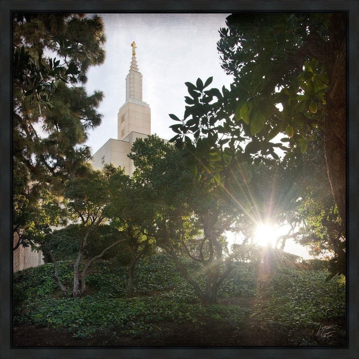 Los Angeles Brightness and Glory Gallery Wrap