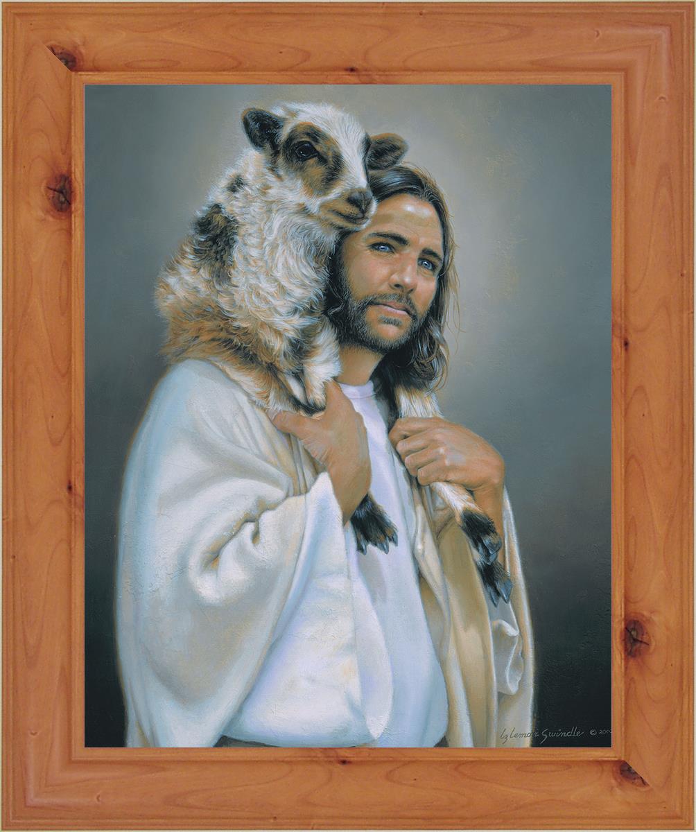 Lost Sheep