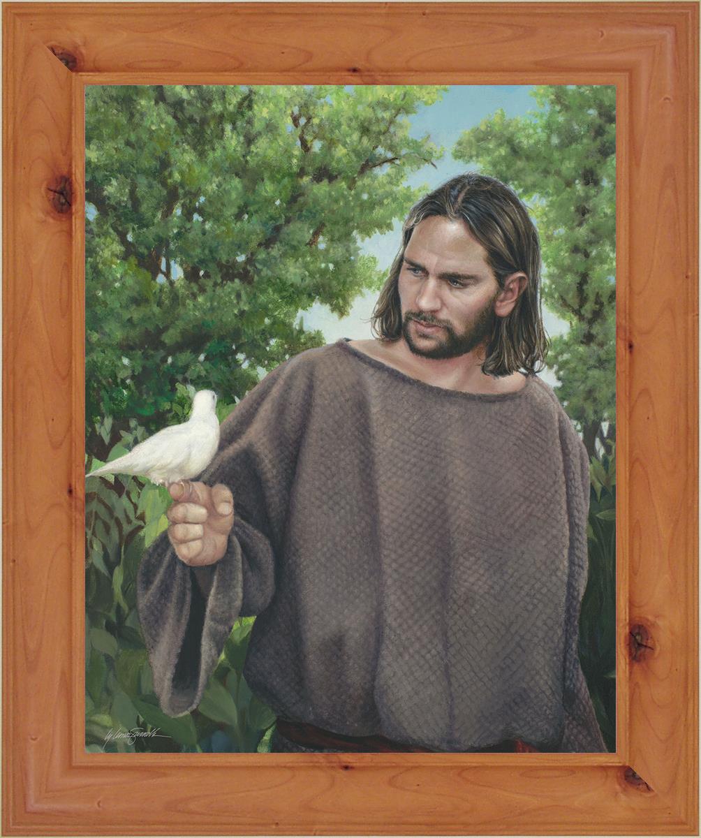 The Creator