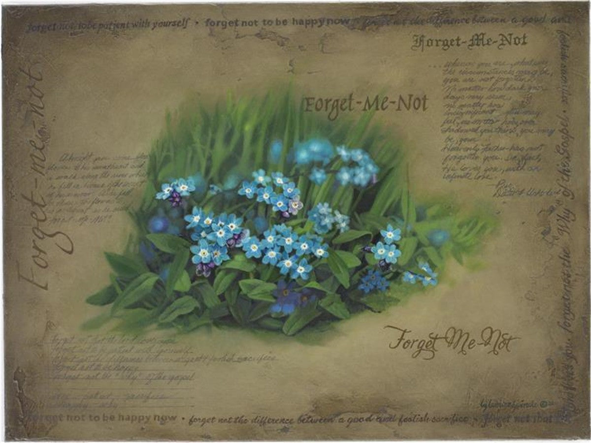 Forget Me Not Gallery Wrap