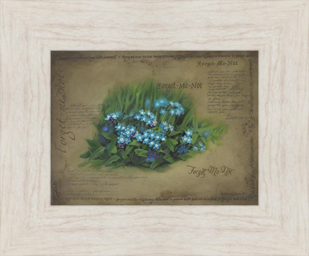 Forget Me Not
