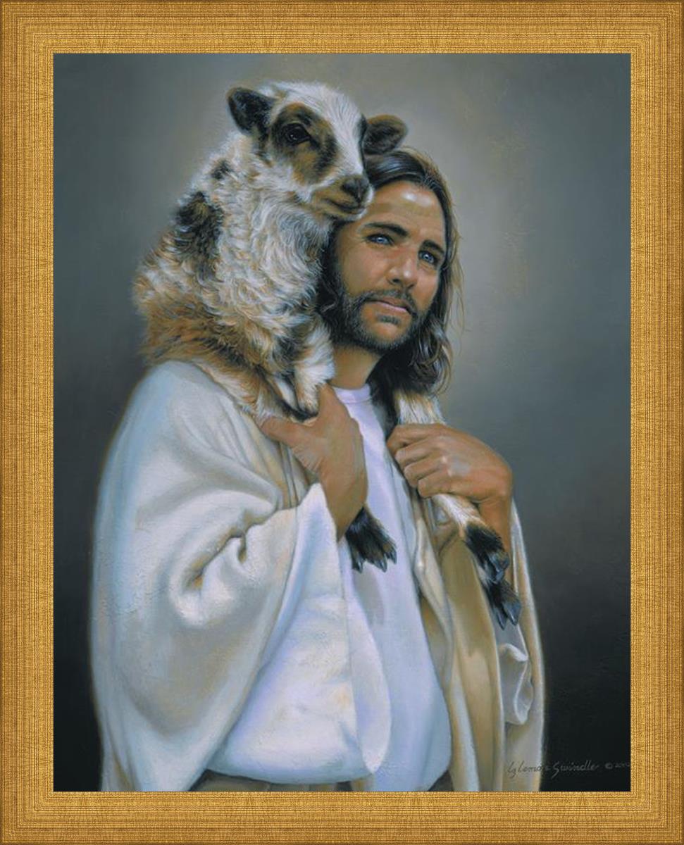 Lost Sheep